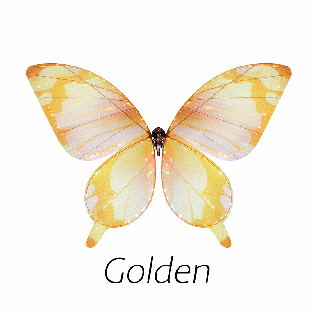 Nooralis product hero image